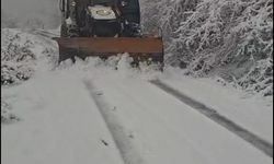 Zonguldak'ta kar yağışı yolları kapattı