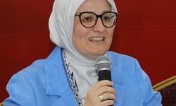 "Çanakkale, zor zamanlarda ayağa kalkma kudretidir"