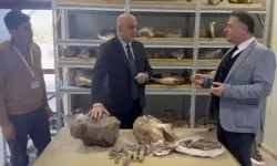 Türkiye'de 30 Milyon Yıllık Dev Fosil
