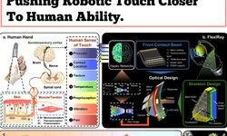 Yumuşak Robotikte Çığır Açan Dokunuş: FlexiRay İnsan Duyusuna Yaklaşıyor