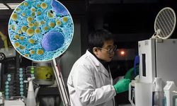 Diyabet araştırmalarında Çin’den önemli bir adım