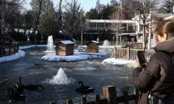 Soğuk hava Kuğulu Park havuzunu ve Eymir Gölü'nü vurdu