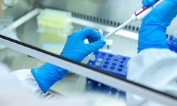 Kanser tedavisinde devrim: Ameliyatsız "dondurma" yöntemi