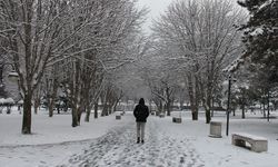 Kayseri'de kar etkisini gösterdi