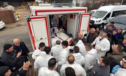 300 kiloya ulaşan fil hastası, Ankara'ya götürüldü