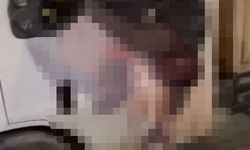 Adana'da kamyonet ile otomobil çarpıştı