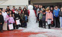 'Aileler Arası Ödüllü Kardan Adam Şenliği'