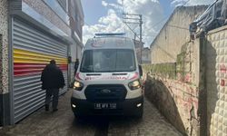 Aydın'da korkutan yangın