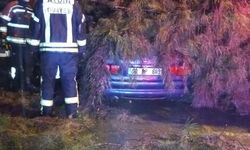 Aydın'da otomobilin üstüne ağaç devrildi
