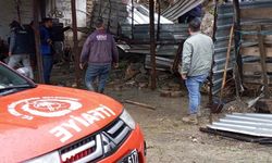 Aydın'da sağanak yağış duvarı çökertti: 4 koyun öldü