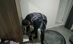 Aydın'da vize dolandırıcılığı operasyonu