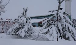 Bitlis ve Van'da yoğun kar yağışı yolları kapattı