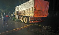 Bursa'da kamyon ve minibüs çarpıştı