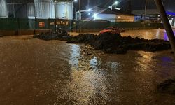 Çanakkale'de Kepez Çayı ile Sarıçay taştı