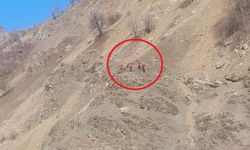 Diyarbakır'da kaybolan zihinsel engelli kişi aranıyor