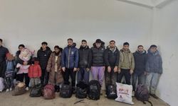 Edirne'de kaçak göçmenler yakalandı
