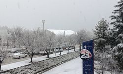 Elazığ'da kar etkili oldu: Köy yolları ulaşıma kapandı