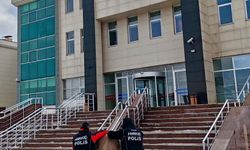 Evde kilolarca saf bonzai bulundu