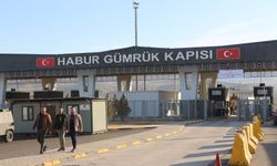 Habur'da 41 kilo kaçak altın ele geçirildi