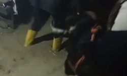 Hatay'da sağanak hayatı olumsuz etkiledi