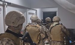 İstanbul Merkezli 5 İlde Suç Örgütü Operasyonu