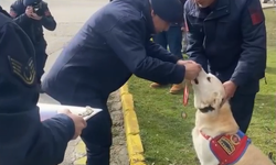 Jandarmanın Köpeği 'Medyum' Törenle Emekli Oldu