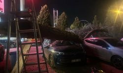 Manisa'da Ağaçlar Devrildi Minare Külahı Uçtu