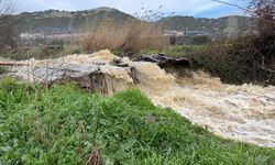 Manisa'da sağanak yağış etkisi: Dereler taştı, tarım arazileri su altında kaldı
