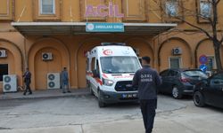 Mardin'de genç kız evinde ölü bulundu