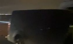 Minibüsün çarptığı 3 at öldü