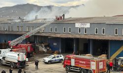 Ordu'da korkutan yangın