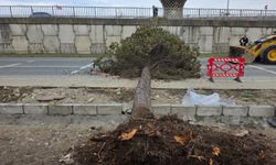 Rize'de korkutan fırtına