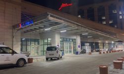 Siirt'te taşlı sopalı hayvan otlatma kavgası