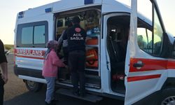 Tarım işçilerini taşıyan minibüs direğe çarptı: 15 yaralı