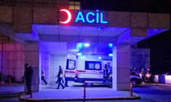 Tartıştığı arkadaşını tabancayla vurdu