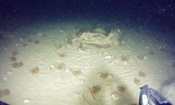 THY'nin 51 Yıllık Enkazından Yeni Parçalar Bulundu