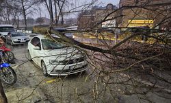 Trakya için fırtına uyarısı