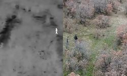 Yasa dışı avcılık yapan kişiler yakalandı