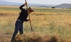 Esnaf ve Çiftçiye Geri Ödemesiz Kredi: 2026 Hibe Başvurusu