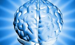 2026 Ülkelerin Ortalama IQ Sıralaması Açıklandı! Türkiye kaçıncı sırada?