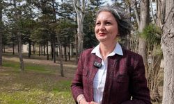 Akademisyenlerden dijital kumar ve bahis bağımlılığı uyarısı