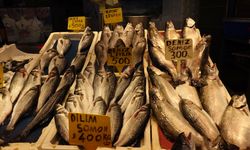 Av yasağı yaklaşıyor