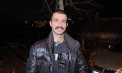 Başıboş at park halindeki araçlara çarptı