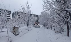 Bitlis beyaza büründü