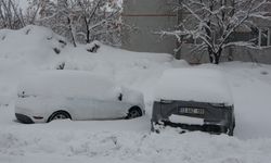 Bitlis’te kar kalınlığı 50 santimetreye ulaştı, 288 köy yolu ulaşıma kapandı