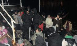 Bodrum'da kaçak göçmenler ve göçmen kaçakçıları yakalandı