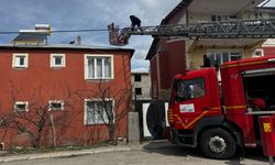 Çatıda mahsur kalan kediyi itfaiye kurtardı