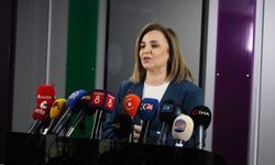 DEM Parti heyeti İmralı'ya gidiyor