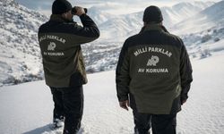 DKMP yasa dışı avcıya 984,7 bin liralık ceza