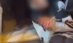 Fatih'te Korkunç Akran Zorbalığı